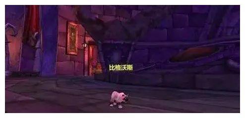 魔兽世界怀旧服比格沃斯什么来头总之不能碰猫服就这么来的