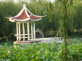 合肥汇景生态园
