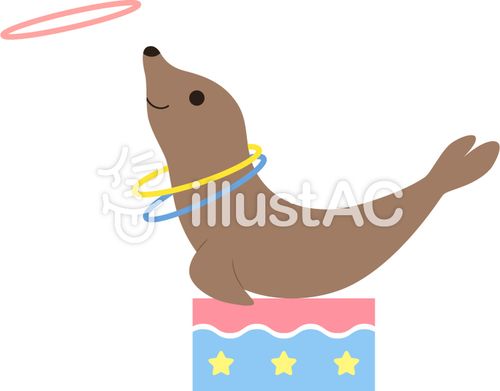 sea lions