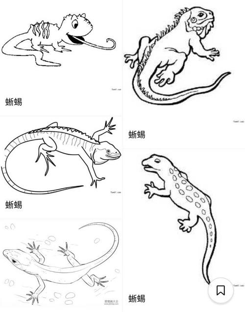 白水镇中心园千千树试课大班《画蜥蜴》