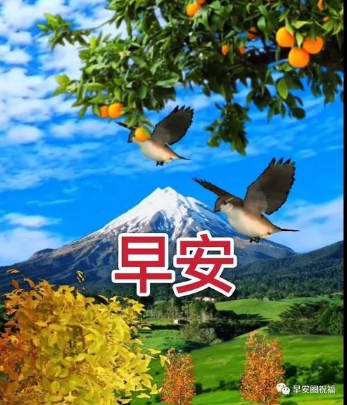 原创最新最美清晨问候动态表情图片 最新早上好表情图片带字