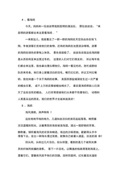 有关海鸥的优秀作文范文
