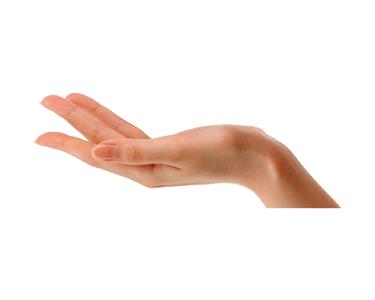 简约高清手掌手指手臂托举素材