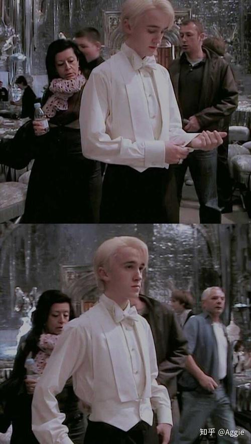 有人分享一下拽哥德拉科马尔福的图片,表情包,壁纸吗?