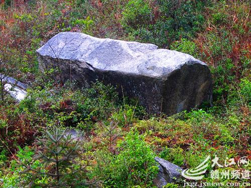 奇!南康山中有一"棺材"石