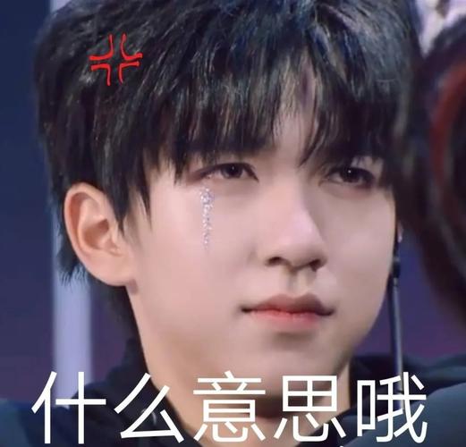 时代少年团贺峻霖表情包