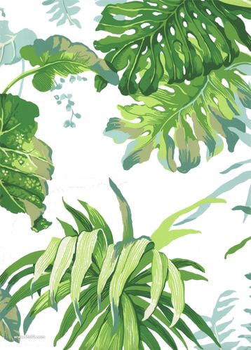 森系北欧热带雨林手绘水彩树叶绿植插画png素材