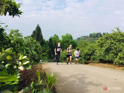 到合川狮滩镇葛家岩古寨赏花品蜜