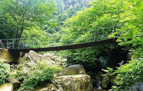 安吉浙北大峡谷一日游 - 安吉游记攻略【携程攻略】