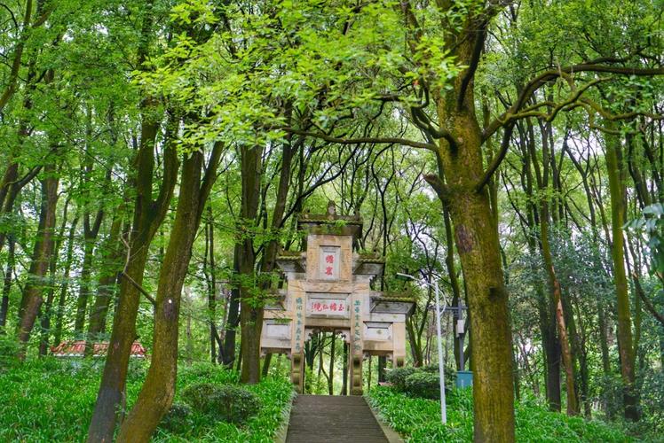 游"川南明珠"玉蟾山!