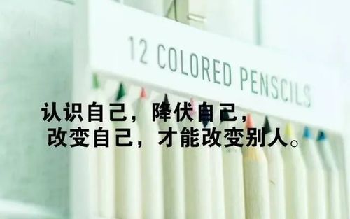 人生感悟20句励志经典说说语录句句激励人奋斗