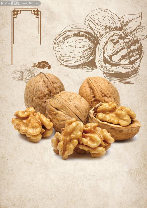 手绘核桃海报背景图片