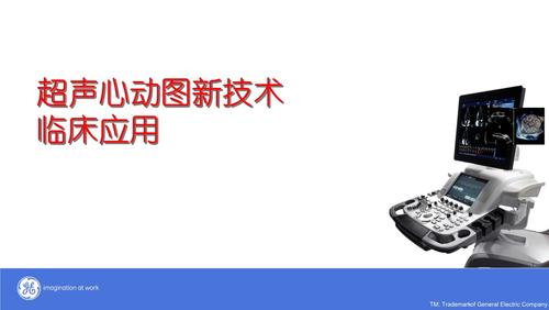 vivid超声心动图新技术.pptx 30页