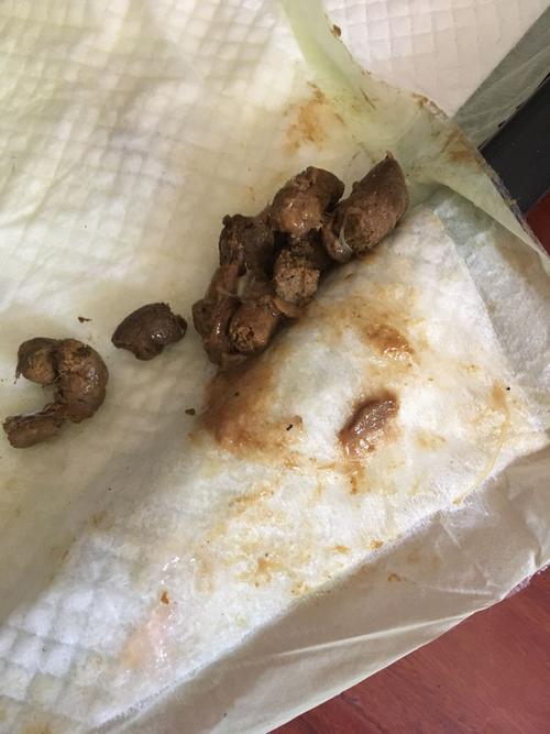 狗狗拉稀什么原因导致看看图片解答一下