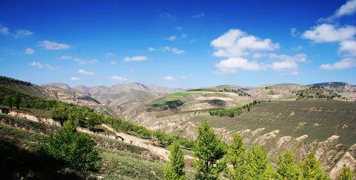 黄土高原(中国地形区)_百度百科