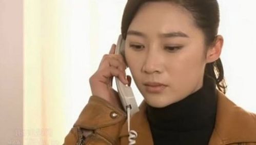 该剧讲述了石门市公安局决定成立女子特案组,原刑警队女探长陆捷担任