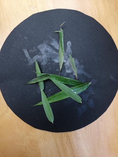 【小四班】竹叶拼贴画