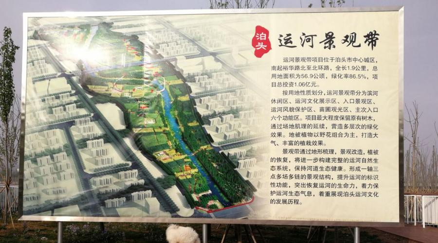 一花一柳一彩桥 一一泊头古运河之美