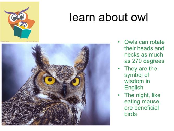 网站首页 海量文档 外语学习 英语阅读猫头鹰英文简介.