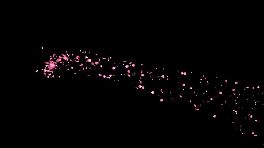 视频素材 影视包装 影视特效 带透明通道浪漫唯美玫瑰花瓣飘落4  来自