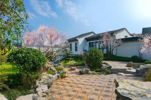 田园牧歌用这些美图记录下了重庆绝无仅有的彩色油菜花