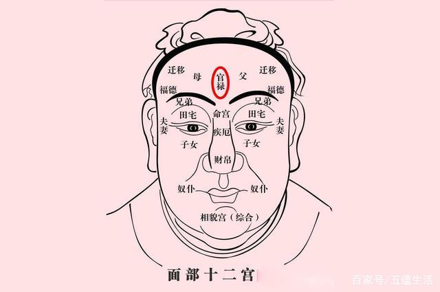 天庭饱满富贵命?也可能是健康警示!当额头出现这5种现象需警惕