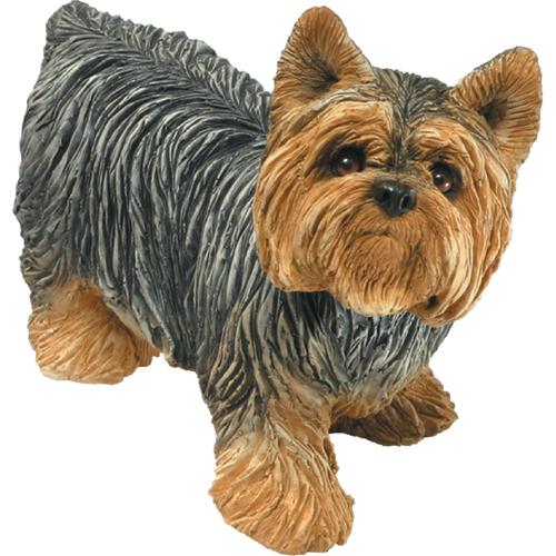 sandicast mid size yorkshire terrier sculpture, standing