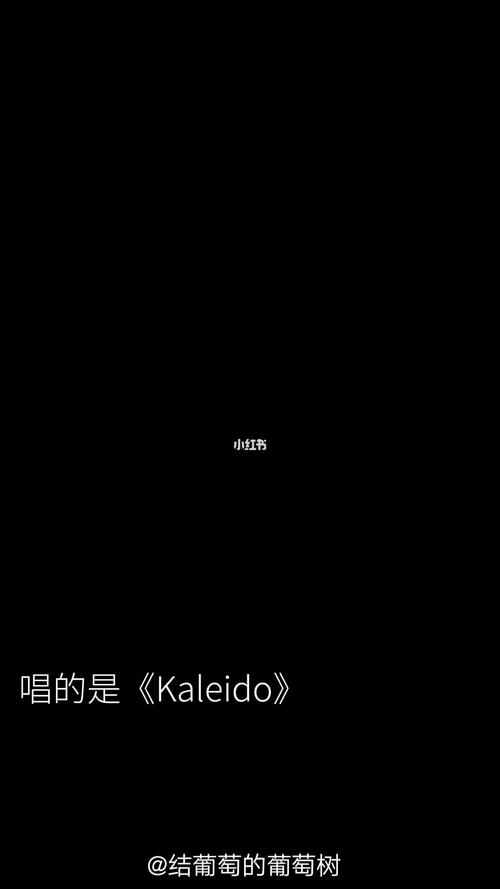 kaleido_营业悖论_教育_教育其他