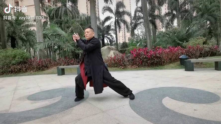 青龙出海 龙潜海底太极养生 太极 太极拳 中华传统