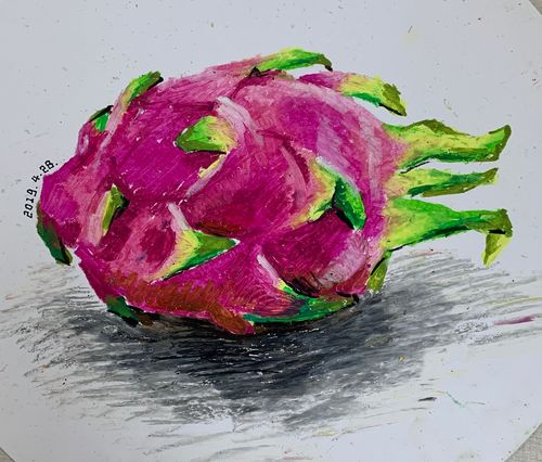 16.色彩造型～火龙果(2班)