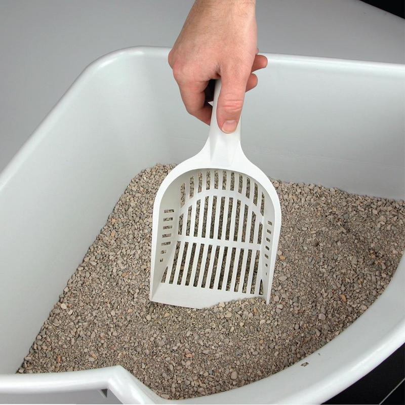 及时清理 保持干净  图源网络 侵删