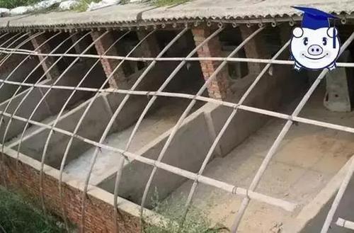 风水不是人的专利,建造猪舍也有很多忌讳!