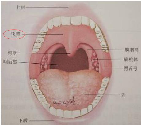 魅力声音的训练方法
