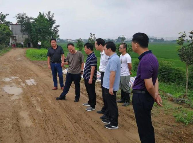 【先锋头条】庐江县:闻"汛"而动显担当 党员冲在最前方