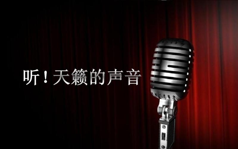 校园歌手十大歌手大赛品牌市场营销策划ppt