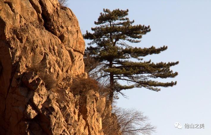 延庆有多少文化特色遗产?