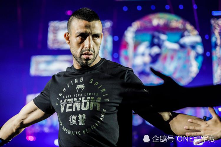 谁能击败"不朽"?罗根-艾尔索盘点前五挑战者