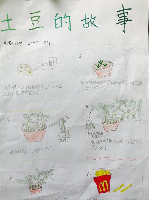 12号 土豆的故事