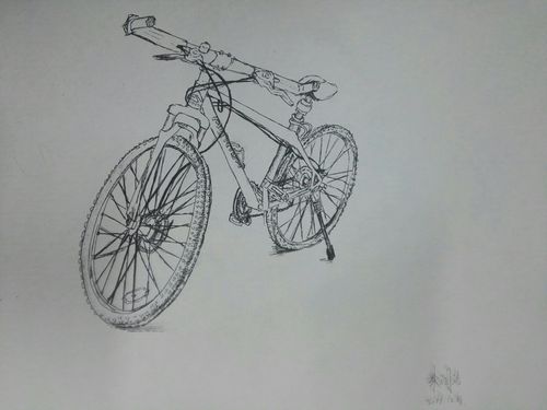 自行车速写写生(欢迎投票)