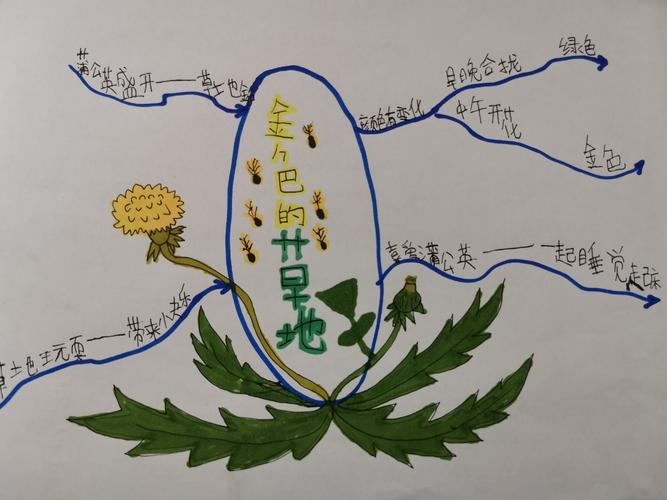 思维之导向 学习之蓝图 ————记宜川县城关小学三年级学生思维导图