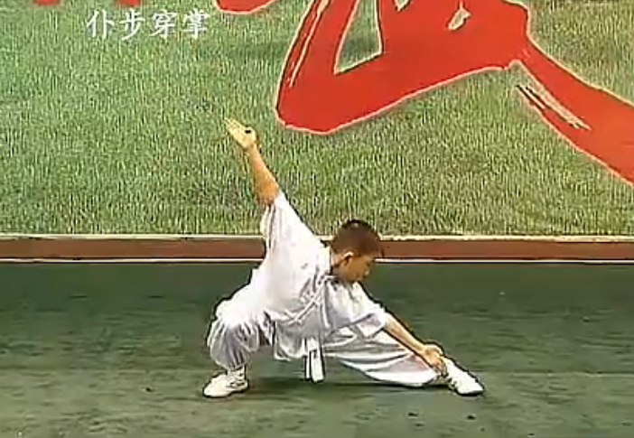 仆步,是武术五大基本步型(弓步,马步,虚步,仆步,歇步)之一.