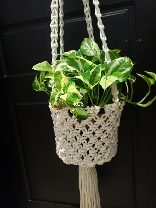 编织花篮_编织_花篮_手工制作_颈圈_吊兰_手工编织_兴趣爱好_手工