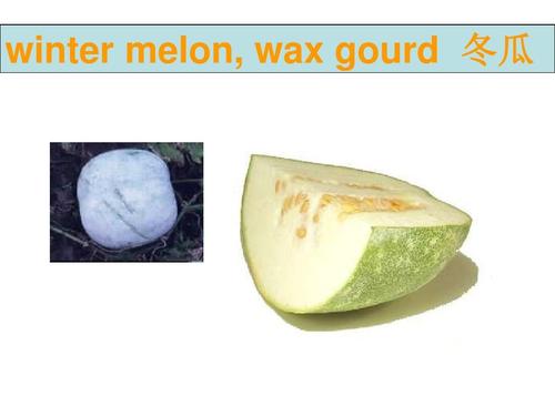 常用英语单词图片大全 winter melon, wax gourd 冬瓜