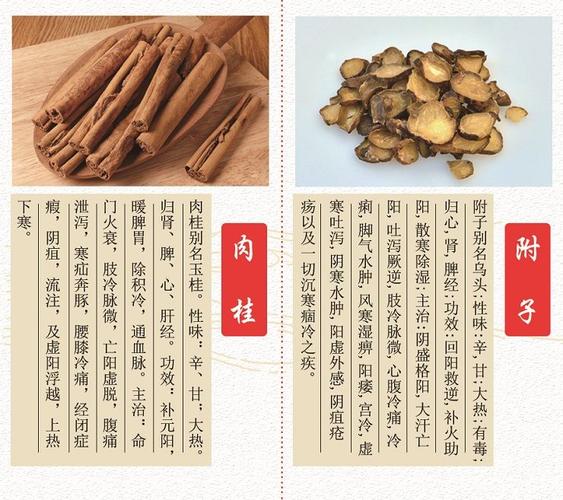 调味品大桂也是中医你了解多少?肉桂与附子的区别你知道多少?