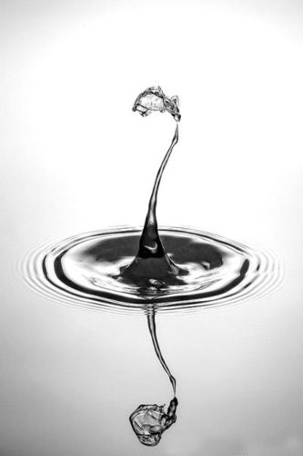 谁有水滴图片,我要你觉得最美的