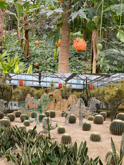 南宫五洲植物乐园_植物乐园怎么样_旅游_绿植_游乐场