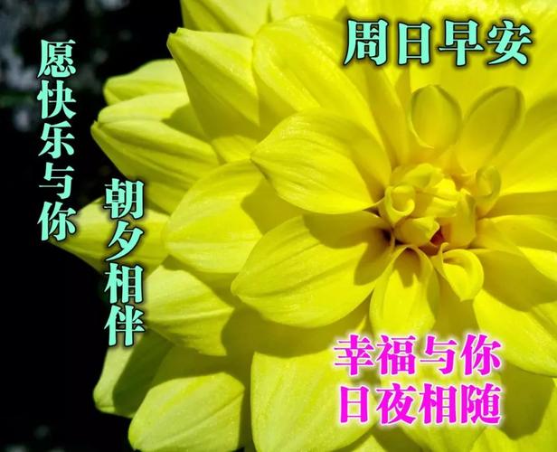 周日早上好,早安心语早上好祝福语动态表情图片,早上好语录