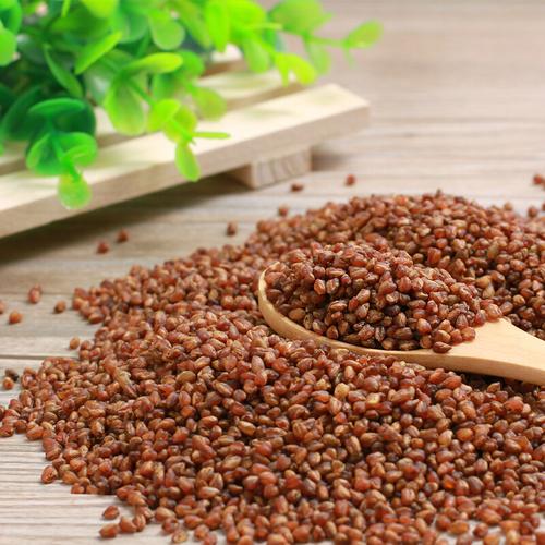 【500g/袋】全胚芽黑苦荞茶清香型麦香大凉山黑苦荞茶