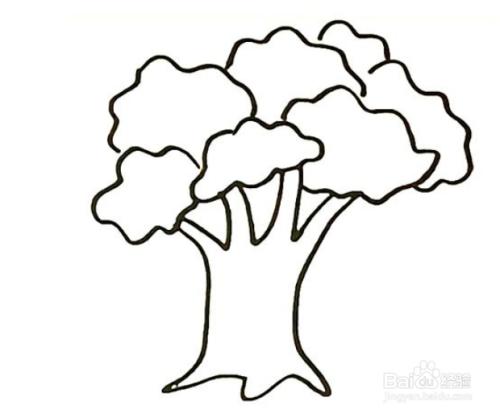 一棵树的简笔画