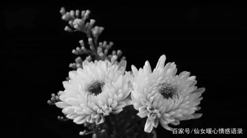 沉痛怀念岳父大人(张文锦)去逝愿他一路走好在天堂上安息吧……!